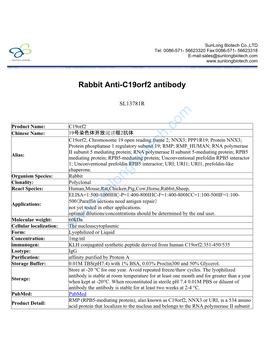 Rabbit Anti-C19orf2 Antibody-SL13781R