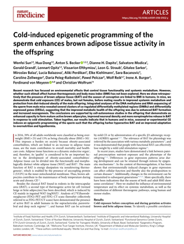 Cold-Induced Epigenetic Programming of the Sperm Enhances Brown Adipose Tissue Activity in the Offspring