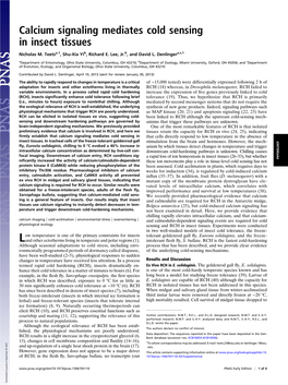 Calcium Signaling Mediates Cold Sensing in Insect Tissues