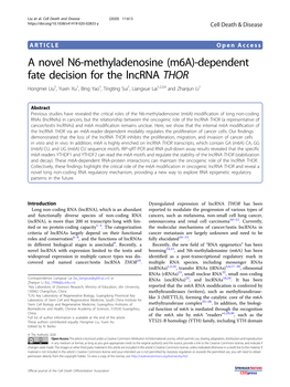 M6a)-Dependent Fate Decision for the Lncrna THOR Hongmei Liu1,Yuxinxu1,Bingyao1, Tingting Sui1,Liangxuelai1,2,3,4 and Zhanjun Li1