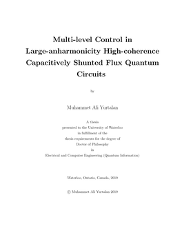 Multi-Level Control in Large-Anharmonicity High-Coherence Capacitively Shunted Flux Quantum Circuits