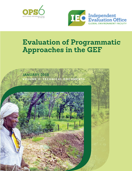 Evaluation of Programmatic Approaches in the GEF