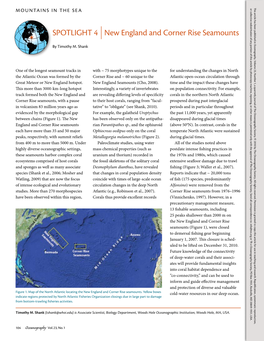 SPOTLIGHT 4 New England and Corner Rise Seamounts