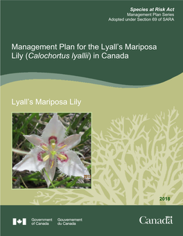 Management Plan for the Lyall's Mariposa Lily (Calochortus Lyallii)