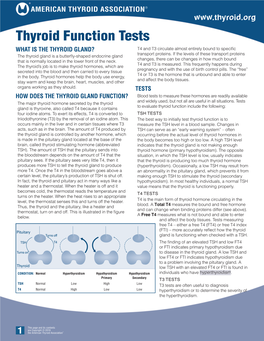 Thyroid Function Tests WHAT IS the THYROID GLAND? T4 and T3 Circulate Almost Entirely Bound to Specific Transport Proteins