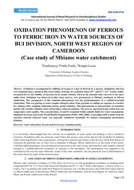 OXIDATION PHENOMENON of FERROUS to FERRIC IRON in WATER SOURCES of BUI DIVISION, NORTH WEST REGION of CAMEROON (Case Study of Mbiame Water Catchment)