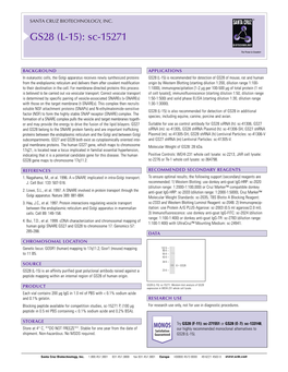 Datasheet Blank Template