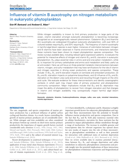 Influence of Vitamin B Auxotrophy on Nitrogen Metabolism in Eukaryotic