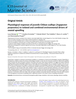 Argopecten Purpuratus) to Isolated and Combined Environmental Drivers of Coastal Upwelling