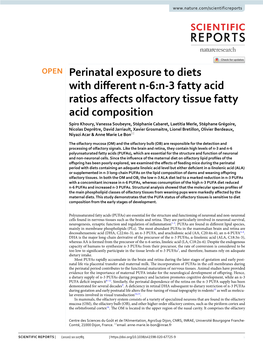 Perinatal Exposure to Diets with Different N-6:N-3 Fatty Acid Ratios