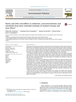 Plastic and Other Microfibers in Sediments, Macroinvertebrates And