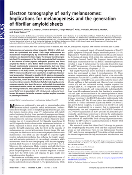 Electron Tomography of Early Melanosomes: Implications for Melanogenesis and the Generation of Fibrillar Amyloid Sheets