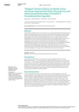 “Plugged” Anterior Inferior Cerebellar Artery Aneurysm Causing Facial Palsy, Hearing Loss, and Subarachnoid Hemorrhage Treated by a Translabyrinthine Approach