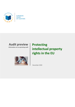 Protecting Intellectual Property Rights in the EU