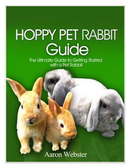 Raising Rabbits 101 and Start the Website Rabbitbreeders.Us Which Is Now World Famous