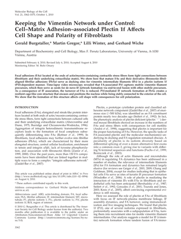Cell–Matrix Adhesion–Associated Plectin 1F Affects Cell Shape and Polarity of Fibroblasts Gerald Burgstaller,* Martin Gregor,* Lilli Winter, and Gerhard Wiche