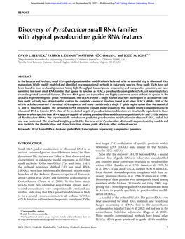 Discovery of Pyrobaculum Small RNA Families with Atypical Pseudouridine Guide RNA Features