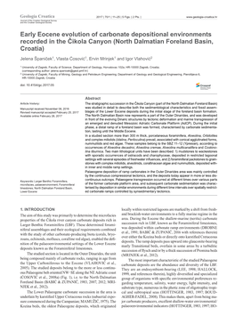 Early Eocene Evolution of Carbonate Depositional Environments