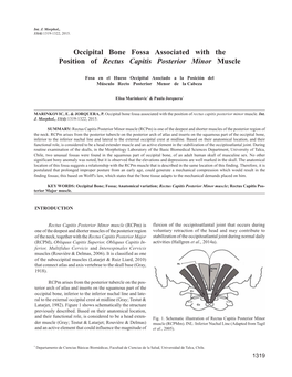 Occipital Bone Fossa Associated with the Position of Rectus Capitis Posterior Minor Muscle