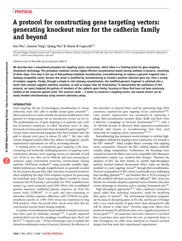 A Protocol for Constructing Gene Targeting Vectors: Generating Knockout Mice for the Cadherin Family and Beyond