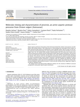 Molecular Cloning and Characterization of Procirsin, an Active Aspartic Protease Precursor from Cirsium Vulgare (Asteraceae)