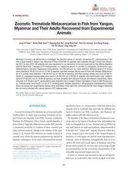 Zoonotic Trematode Metacercariae in Fish from Yangon, Myanmar and Their Adults Recovered from Experimental Animals