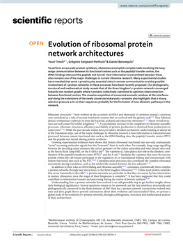 Evolution of Ribosomal Protein Network Architectures Youri Timsit1*, Grégoire Sergeant‑Perthuis2 & Daniel Bennequin2