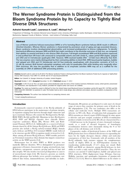 The Werner Syndrome Protein Is Distinguished from the Bloom Syndrome Protein by Its Capacity to Tightly Bind Diverse DNA Structures