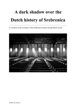 A Dark Shadow Over the Dutch History of Srebrenica