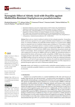 Synergistic Effect of Abietic Acid with Oxacillin Against Methicillin-Resistant Staphylococcus Pseudintermedius