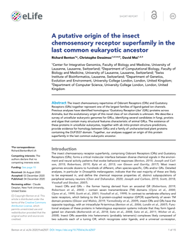 A Putative Origin of the Insect Chemosensory Receptor