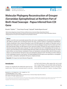 Molecular Phylogeny Reconstruction of Grouper (Serranidae: Epinephelinae) at Northern Part of Bird’S Head Seascape - Papua Inferred from COI Gene