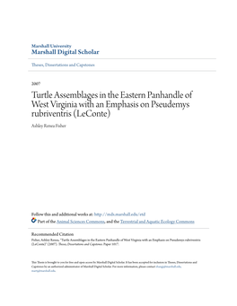 Turtle Assemblages in the Eastern Panhandle of West Virginia with an Emphasis on Pseudemys Rubriventris (Leconte) Ashley Renea Fisher