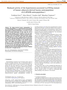 (A-LAP)/ER-Aminopeptidase-1