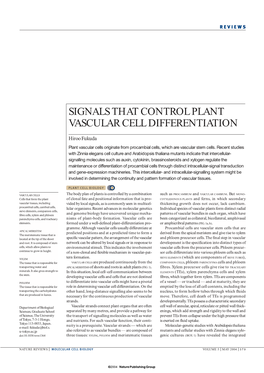 Signals That Control Plant Vascular Cell Differentiation