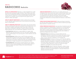 Radicchio-1.Pdf