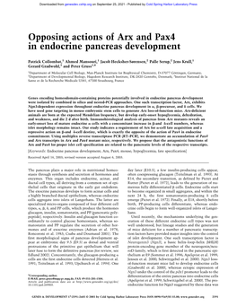 Opposing Actions of Arx and Pax4 in Endocrine Pancreas Development