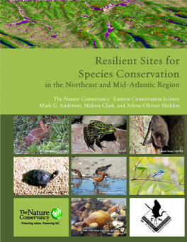 Resilient Sites for Species Conservation in the Northeast and Mid-Atlantic Region