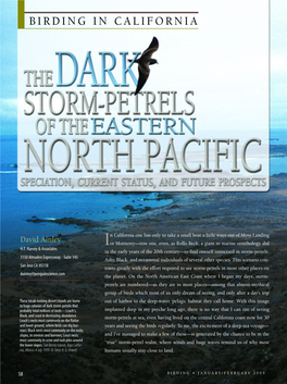 The Dark Storm-Petrels of the Eastern North Pacific ~ Birding