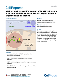 A Mitochondria-Specific Isoform of FASTK Is Present In