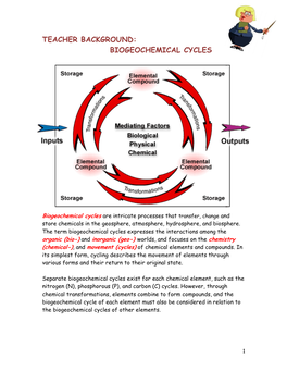 Teacher Background: Biogeochemical Cycles