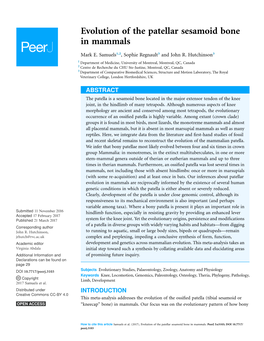 Evolution of the Patellar Sesamoid Bone in Mammals