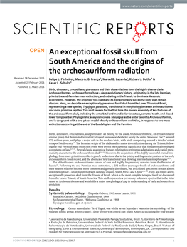 An Exceptional Fossil Skull from South America and the Origins of the Archosauriform Radiation Received: 18 December 2015 Felipe L