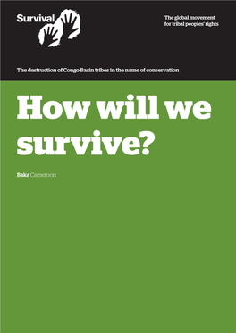 Baka Cameroon the Destruction of Congo Basin Tribes in the Name Of