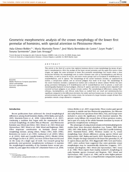 Geometric Morphometric Analysis of the Crown Morphology of the Lower First Premolar of Hominins, with Special Attention to Pleistocene Homo