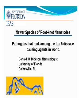 Newer Species of Root-Knot Nematodes Pathogens That Rank