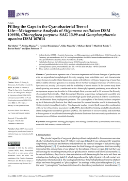 Filling the Gaps in the Cyanobacterial Tree of Life—Metagenome Analysis