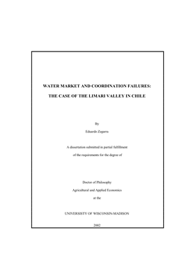Water Market and Coordination Failures: the Case of the Limari Valley in Chile