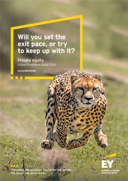 EY Global Private Equity Divestment Study Focuses on How PE Should Approach Their Exit Strategies in a Resilient Yet Volatile Marketplace