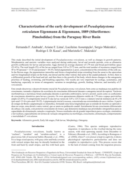 Characterization of the Early Development of Pseudoplatystoma Reticulatum Eigenmann & Eigenmann, 1889 (Siluriformes: Pimelodidae) from the Paraguay River Basin